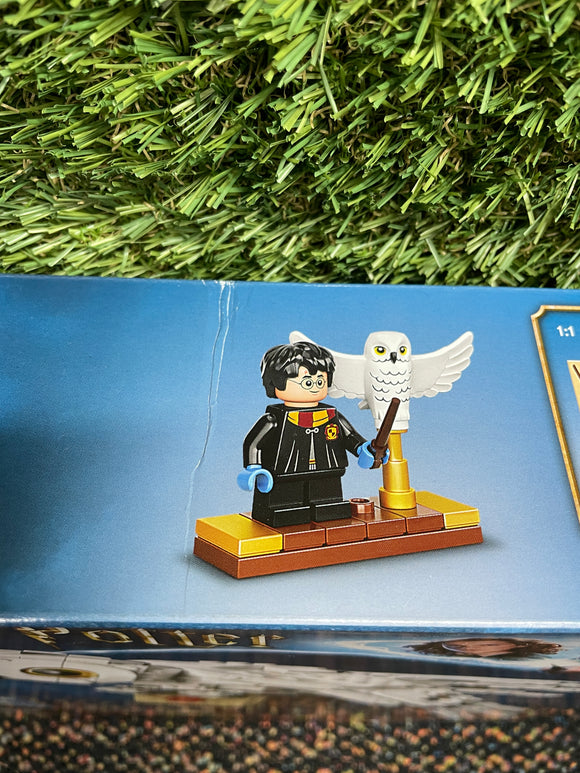LEGO® Hedwig™ 75979