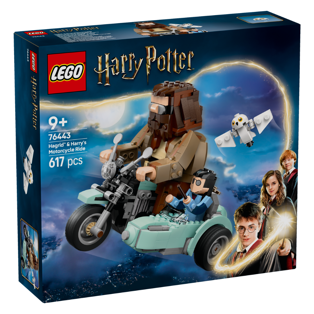 LEGO® Hagrid™ Harry's Motorcycle Ride 76443 I'm Rick James Bricks