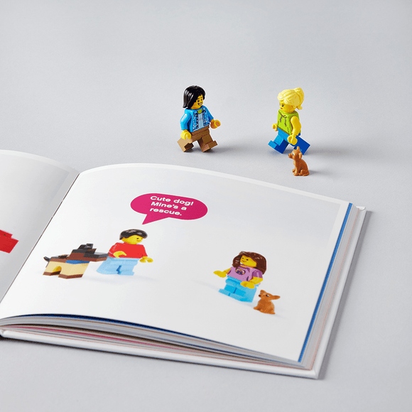 LEGO® Small Parts Book