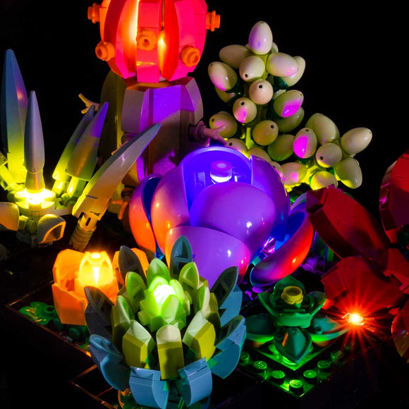 Succulents #10309 Light Kit