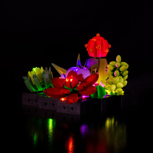 Succulents #10309 Light Kit
