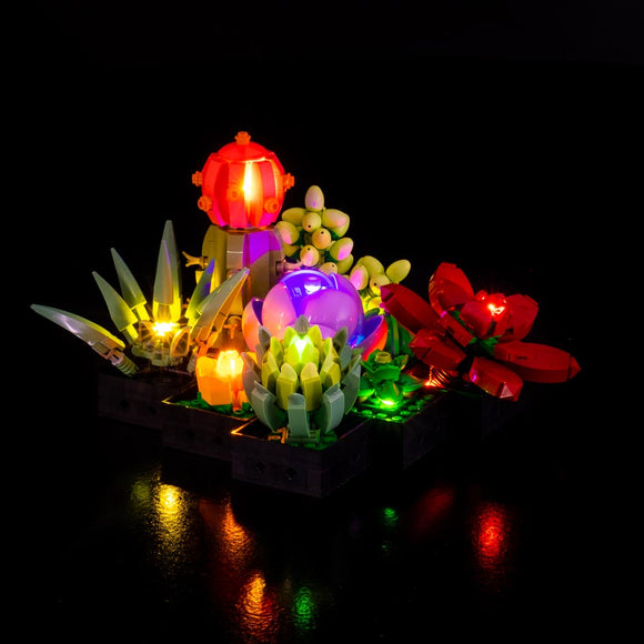 Succulents #10309 Light Kit