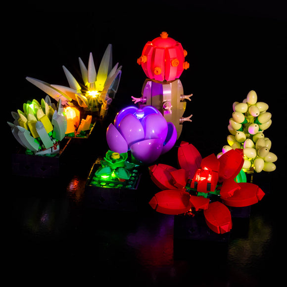 Succulents #10309 Light Kit