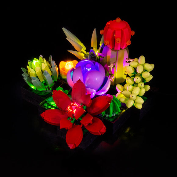 Succulents #10309 Light Kit