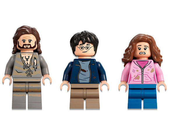 LEGO® Hogwarts™ Courtyard: Sirius’s Rescue 76401