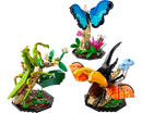 LEGO® The Insect Collection 21342-2