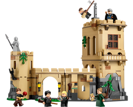 LEGO® Hogwarts™ Castle: Flying Lessons 76447 - 0