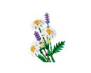 LEGO® Daisies 11508-3