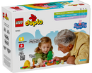 LEGO® DUPLO® Peppa Pig Camping Trip 10452-3