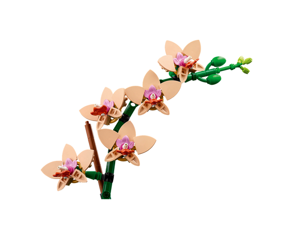 LEGO® Mini Orchid 10343