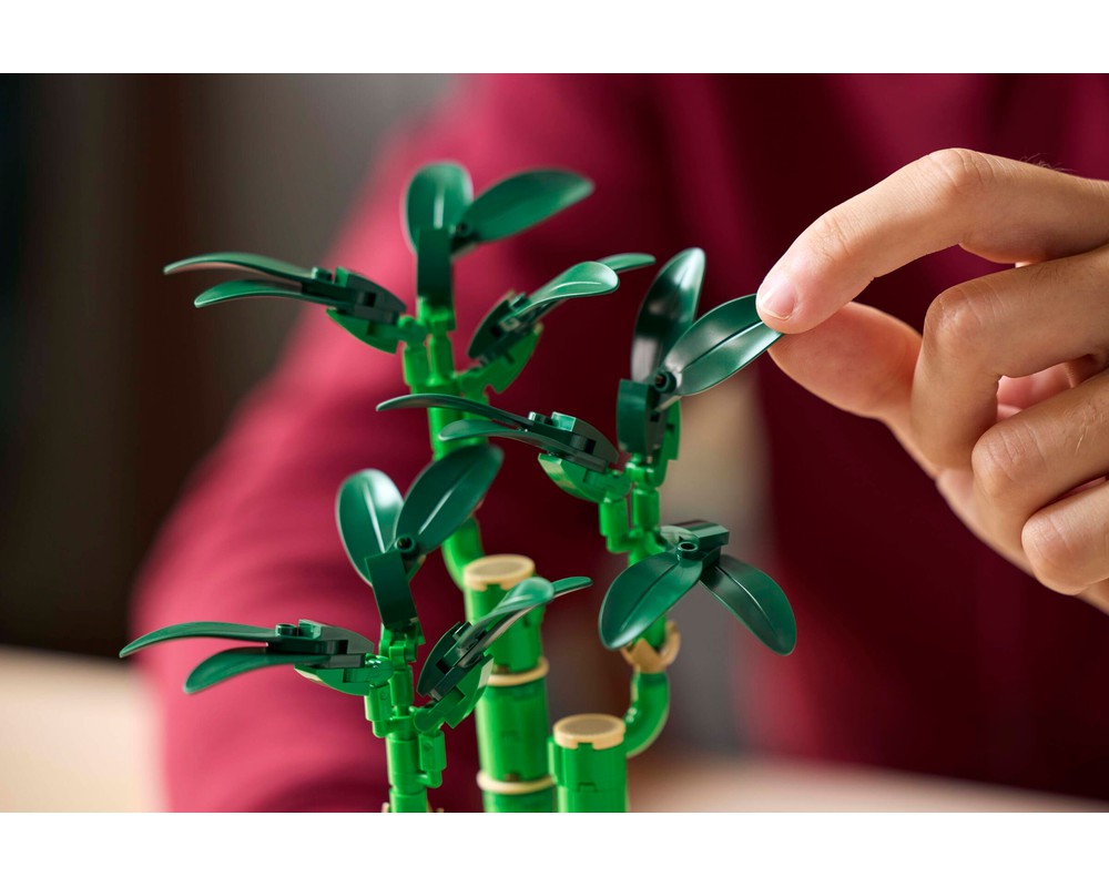 LEGO® Lucky Bamboo 10344