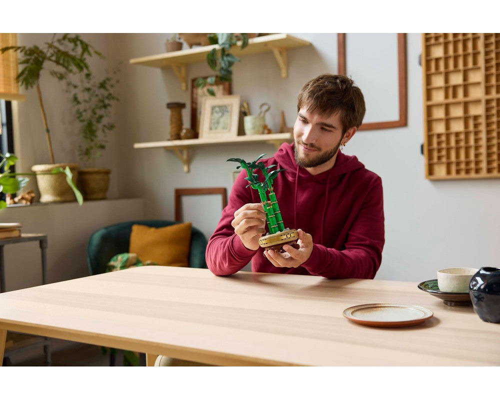 LEGO® Lucky Bamboo 10344