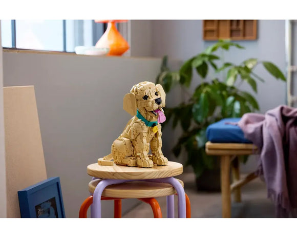 LEGO® Golden Retriever Puppy 11384