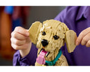 LEGO® Golden Retriever Puppy 11384-14