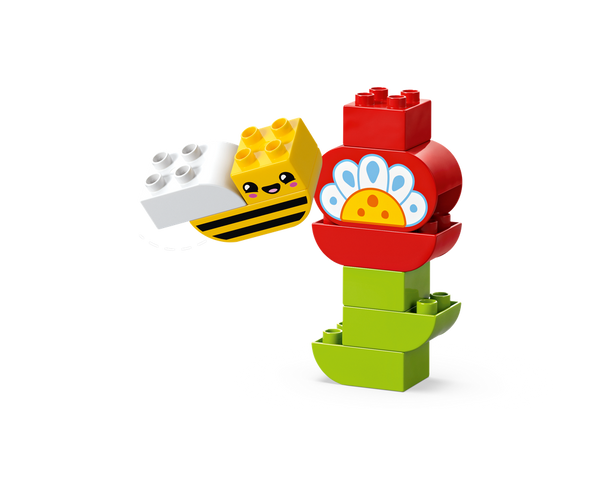 LEGO® DUPLO® Creative Garden & Flowers 10444