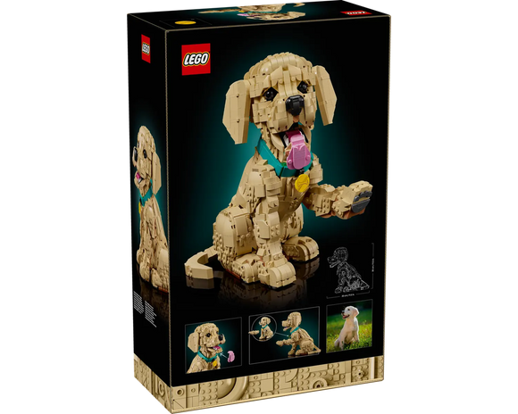 LEGO® Golden Retriever Puppy 11384