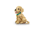 LEGO® Golden Retriever Puppy 11384-7