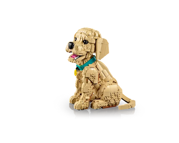 LEGO® Golden Retriever Puppy 11384