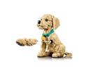 LEGO® Golden Retriever Puppy 11384-6