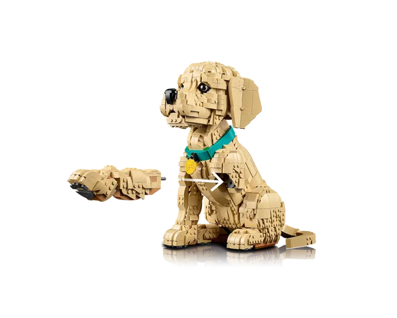 LEGO® Golden Retriever Puppy 11384
