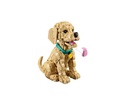 LEGO® Golden Retriever Puppy 11384-5