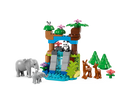 LEGO® DUPLO® 3in1 Wild Animal Families 10446-5