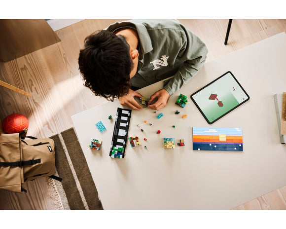 LEGO®  Mini Biomes 21589