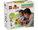 LEGO® DUPLO® Shape Sorter: Puppy House 10441-6