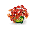 LEGO® Japanese Red Maple Bonsai Tree 10348-4