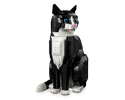 LEGO® Tuxedo Cat 21349