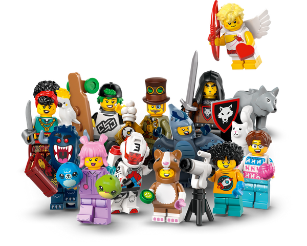 LEGO® Minifigures Series 27 FULL SET 71048