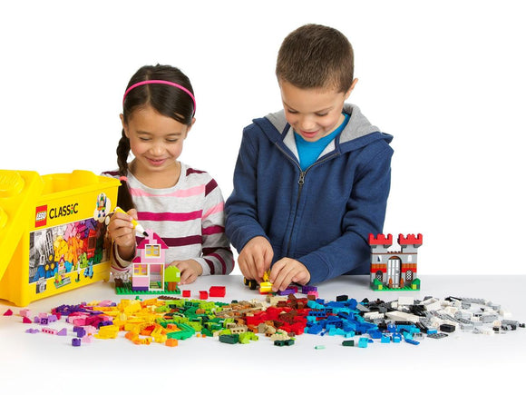 LEGO® Large Creative Brick Box 10698