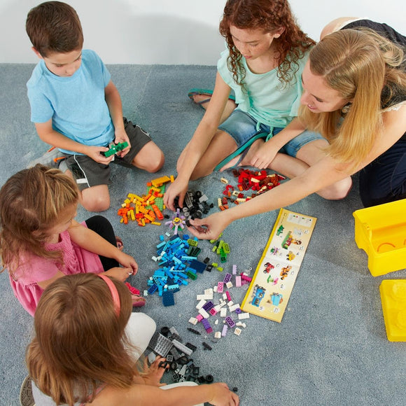 LEGO® Large Creative Brick Box 10698