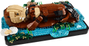 LEGO® Floating Sea Otters 21366-2