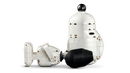 LEGO® Peanuts: Snoopy's Doghouse 21368-5