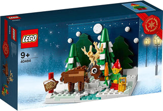 LEGO® Santa's Front Yard 40484