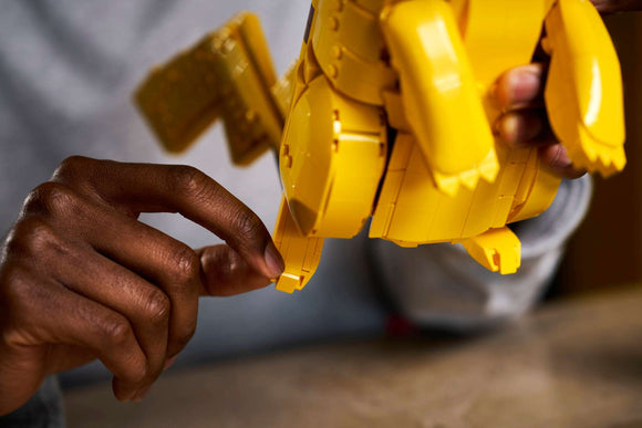 LEGO® Pikachu and Poké Ball 72152