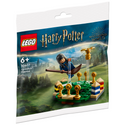 LEGO® Quidditch™ Practice 30651 Polybag