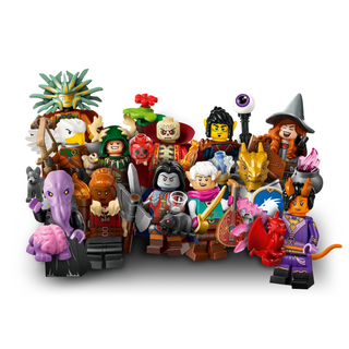 LEGO® Dungeons & Dragons® FULL SET 71047