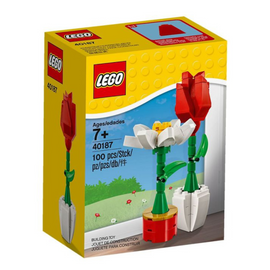 LEGO® Flower Display 40187