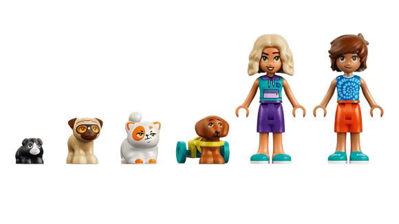 LEGO® Fun Water Park Day 42676