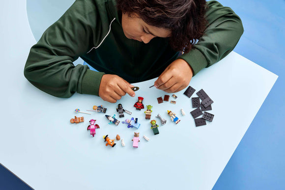 LEGO® Shrek Series FULL SET 71053