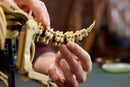LEGO® Dinosaur Fossils: Triceratops 77985-11