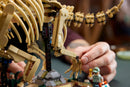 LEGO® Dinosaur Fossils: Triceratops 77985-12