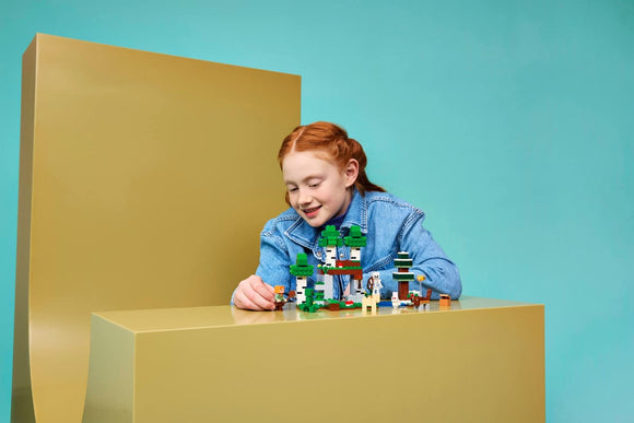 LEGO® First Night Adventure 21593