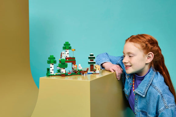 LEGO® First Night Adventure 21593