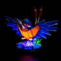 Kingfisher Bird #10331 Light Kit