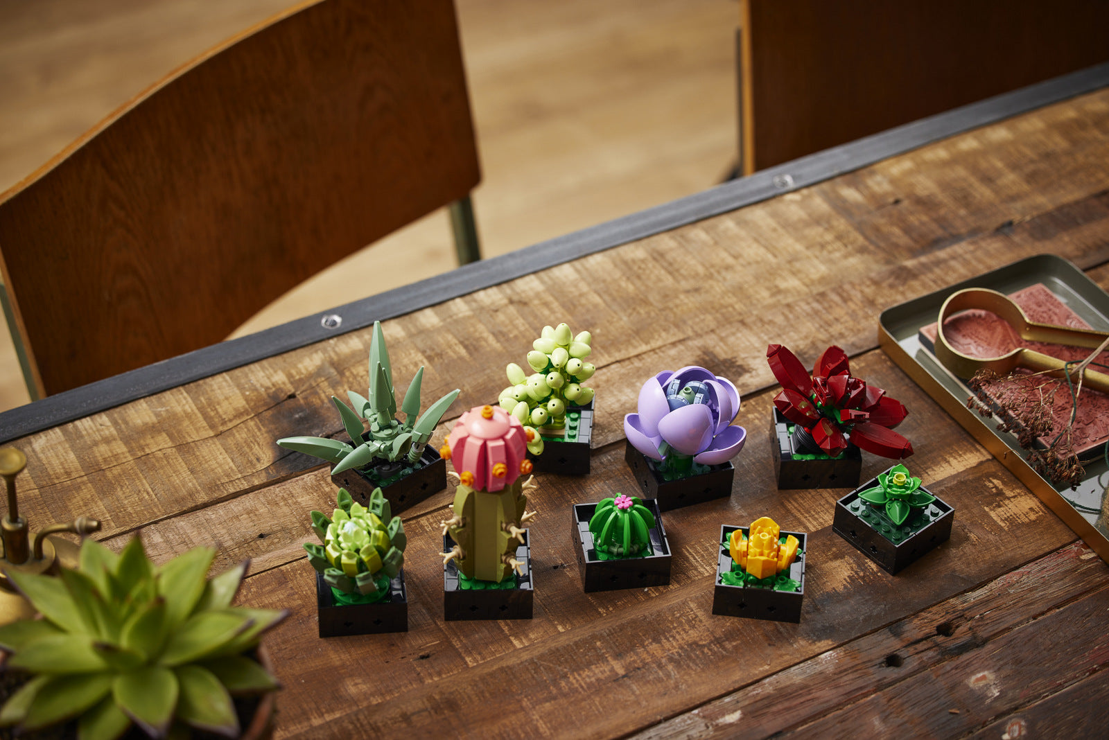 succulents 10309 LEGO® Succulents 10309