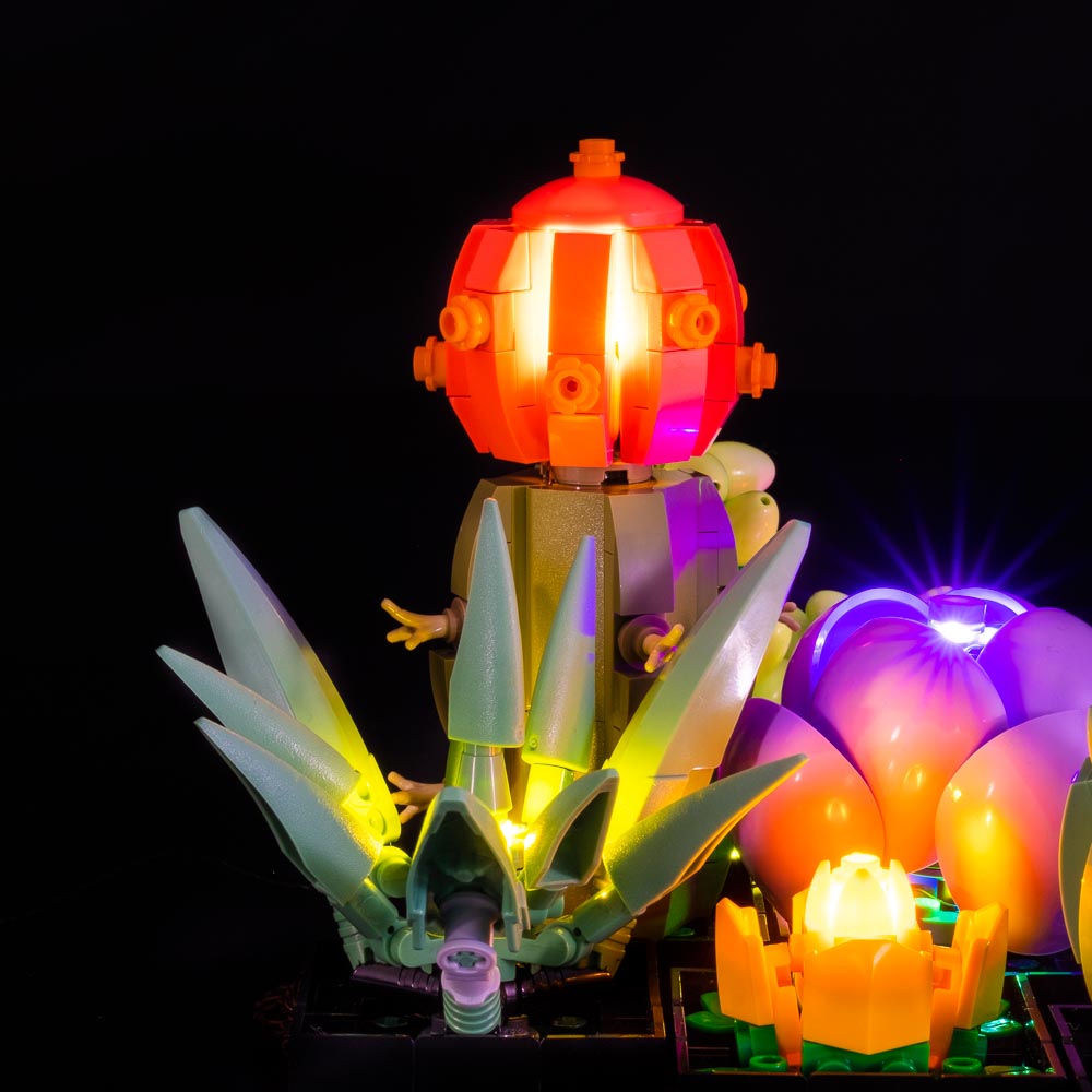 Succulents #10309 Light Kit - 0