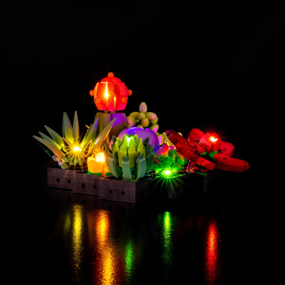 Succulents #10309 Light Kit